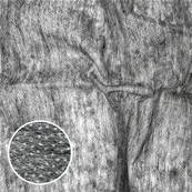 Iron-on non-woven fabric microdot (90 cm - Black - Polyester)